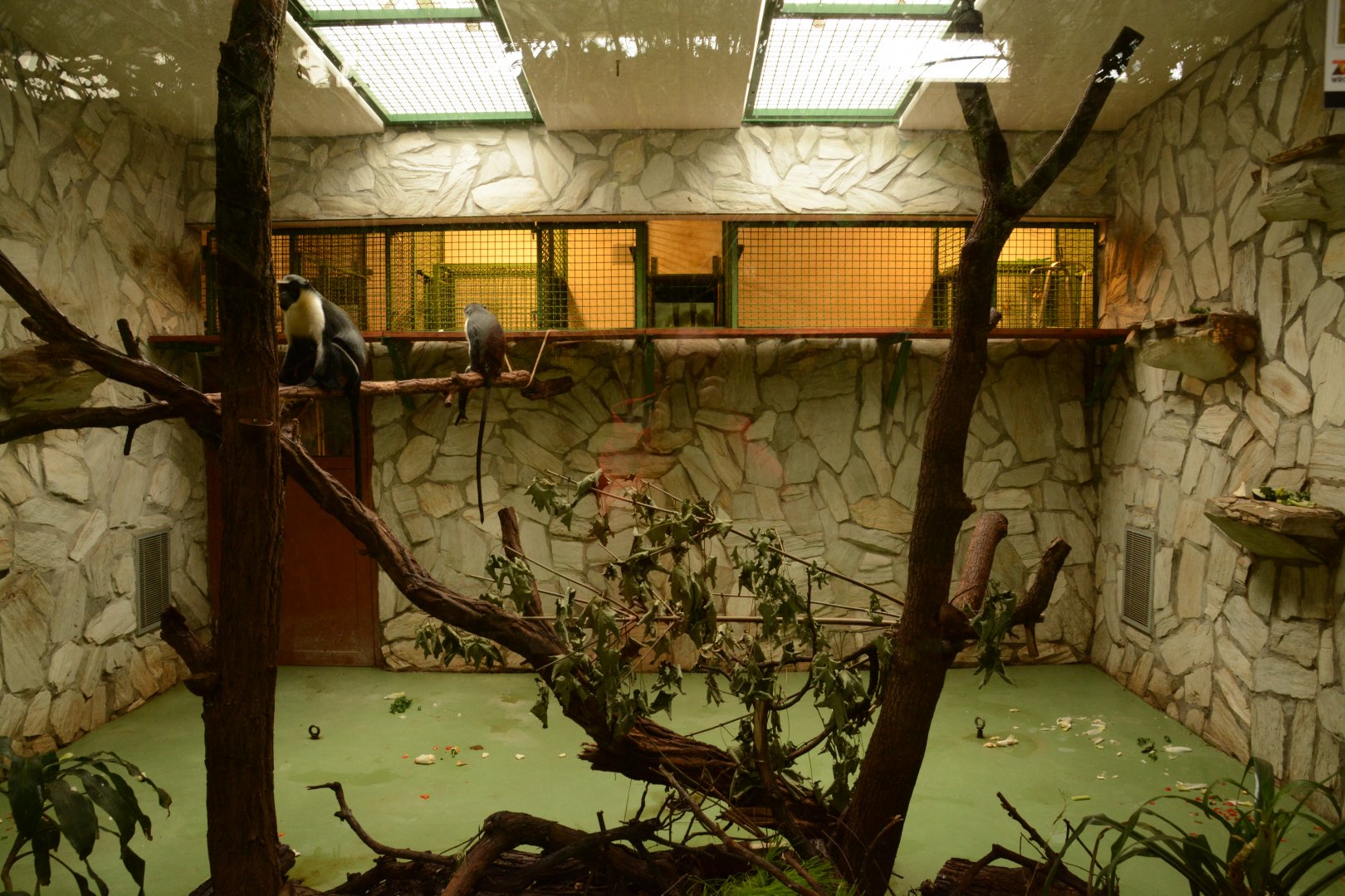 Typical monkey indoor enclosure