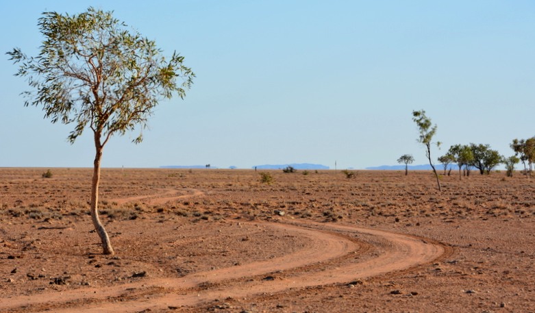 Typical outback track