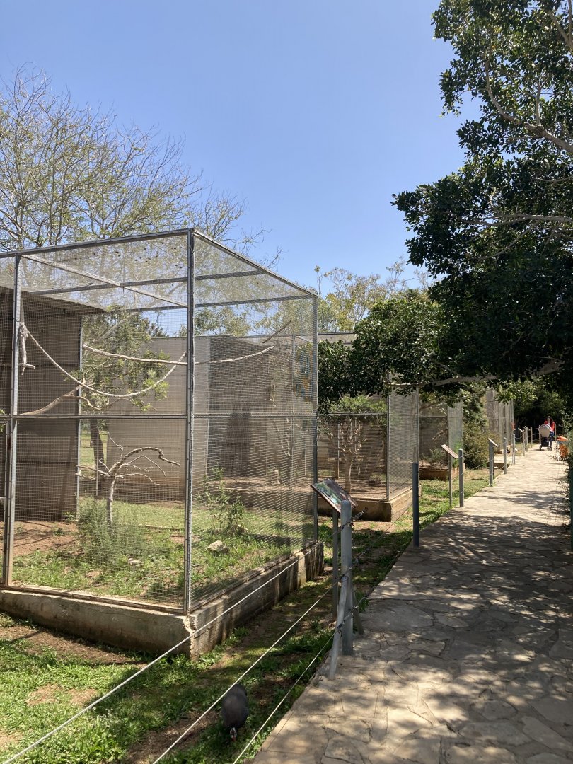 Typical path and aviary row