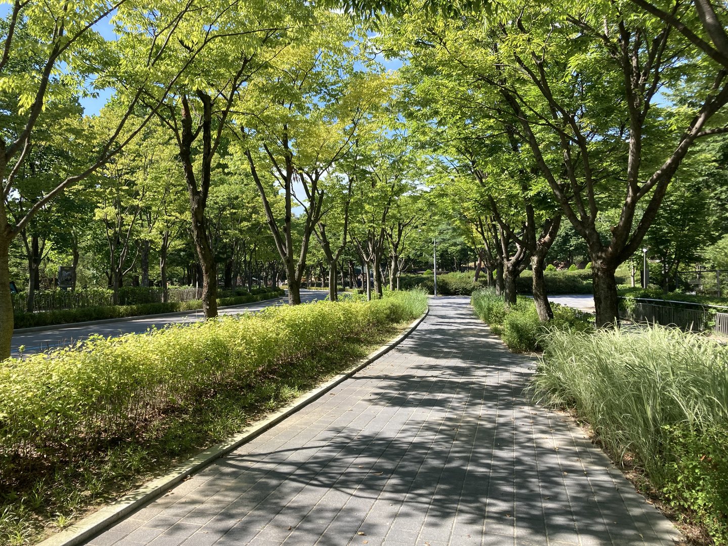 Typical path example