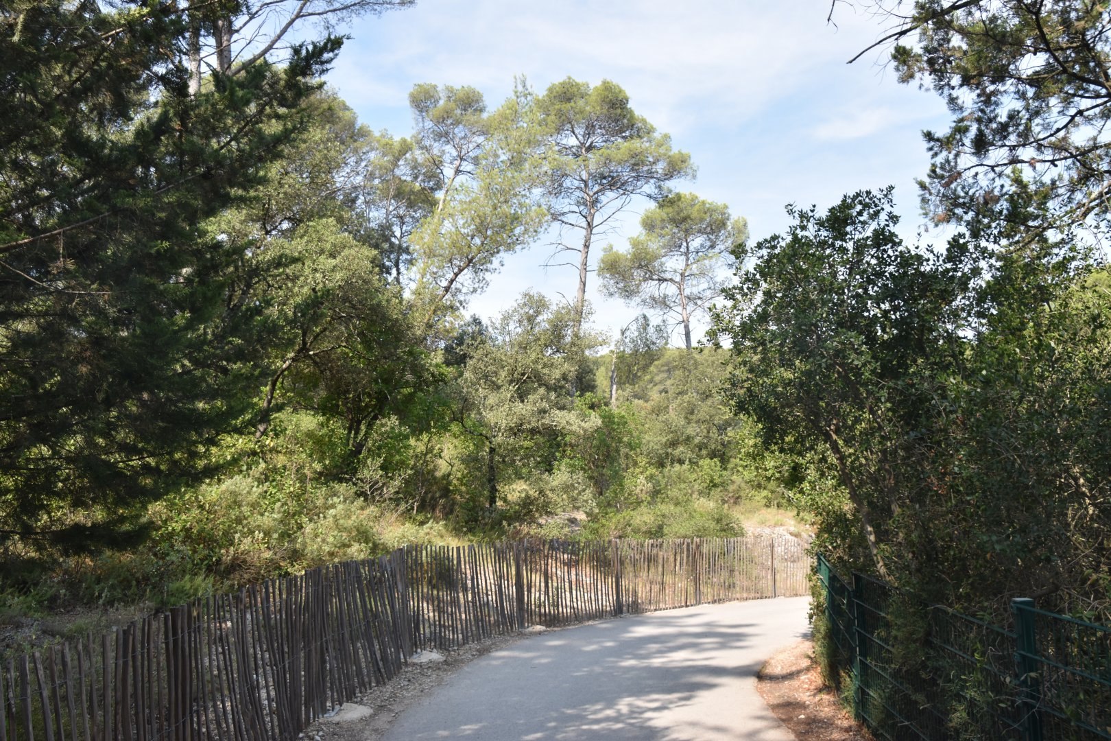 Typical path in the zoo