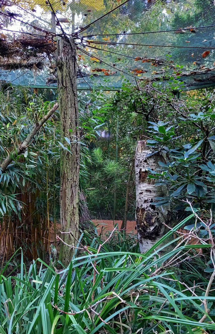 Typical Plzen Zoo bird-aviary