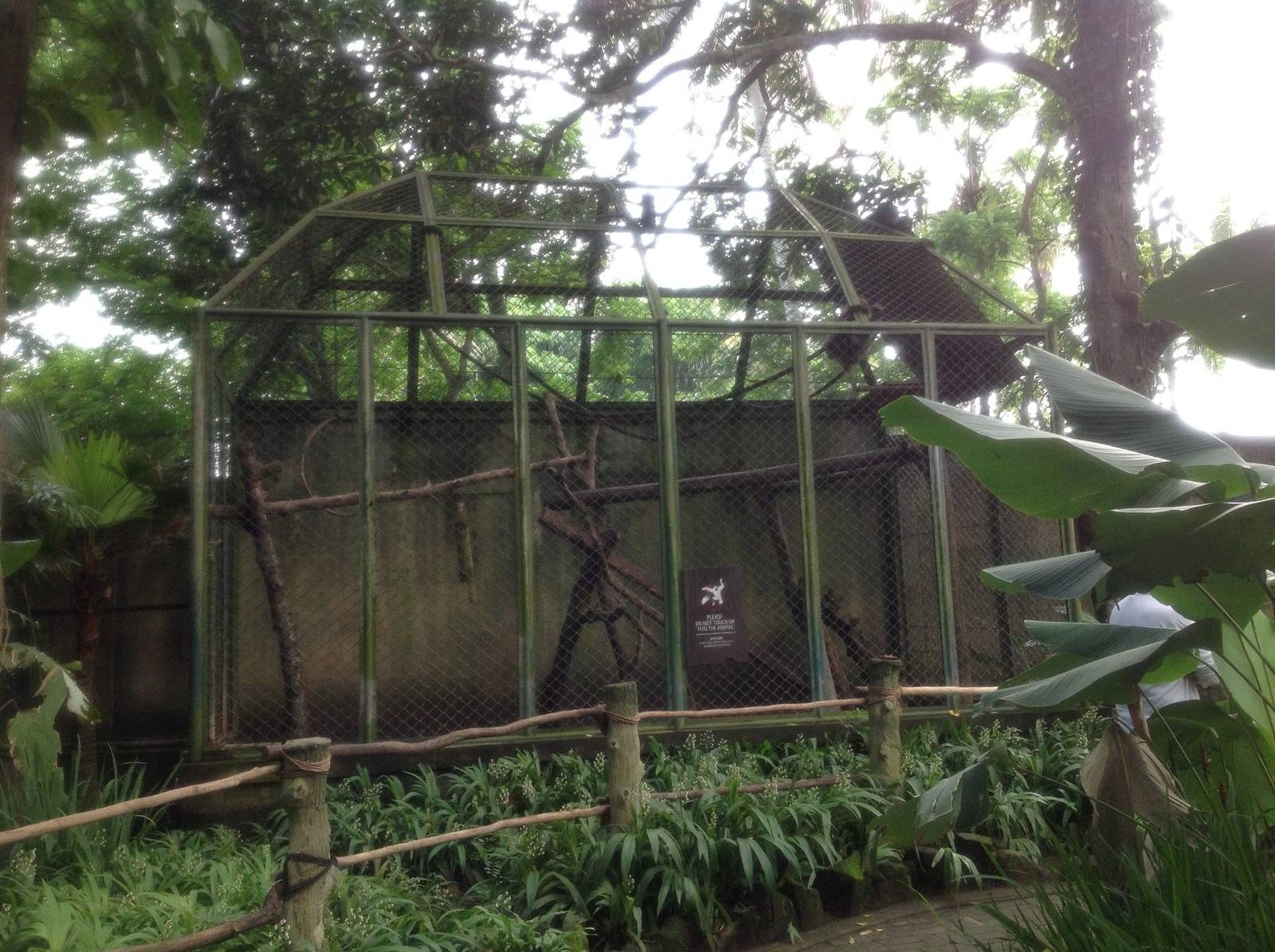 Typical primate enclosure