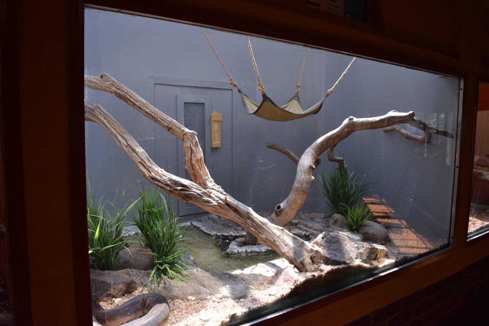Typical Reptile Enclosure Example