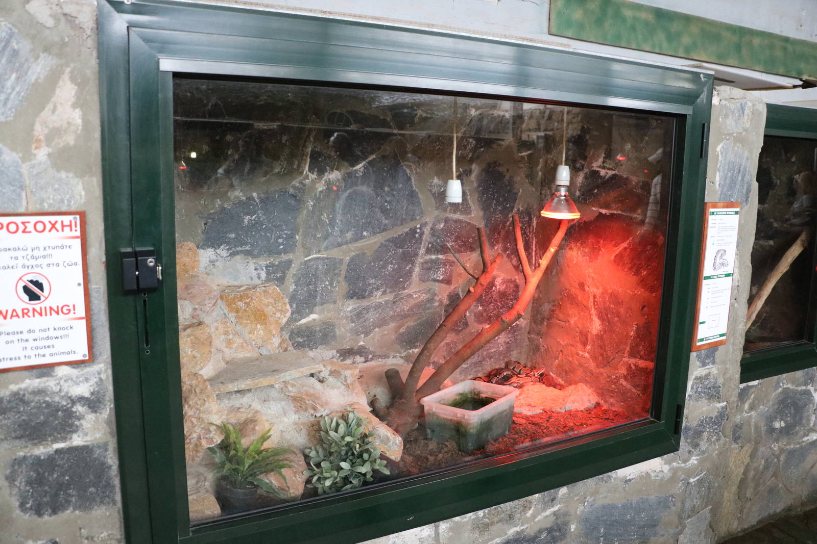 Typical reptile vivarium, February 2016