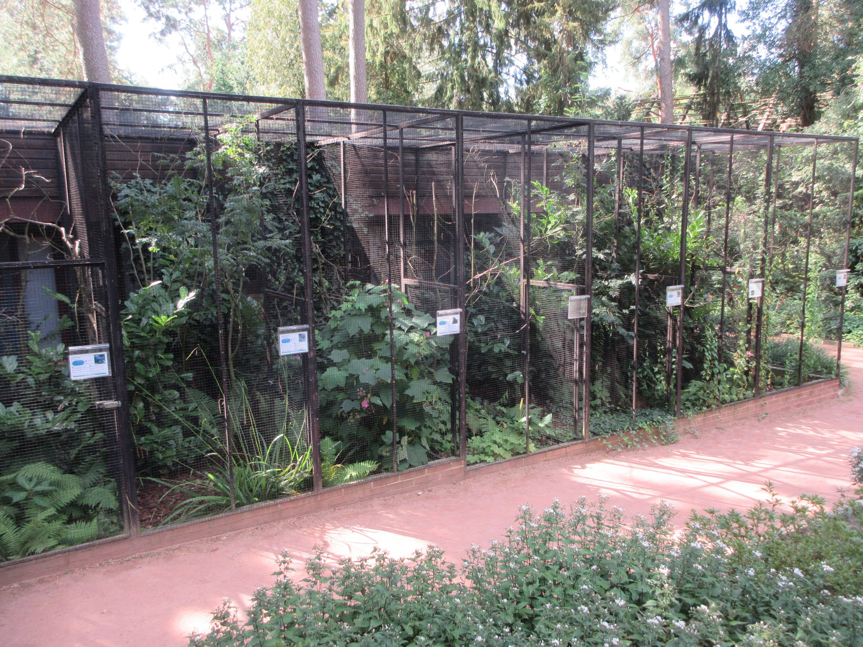 Typical row of Walsrode aviaries