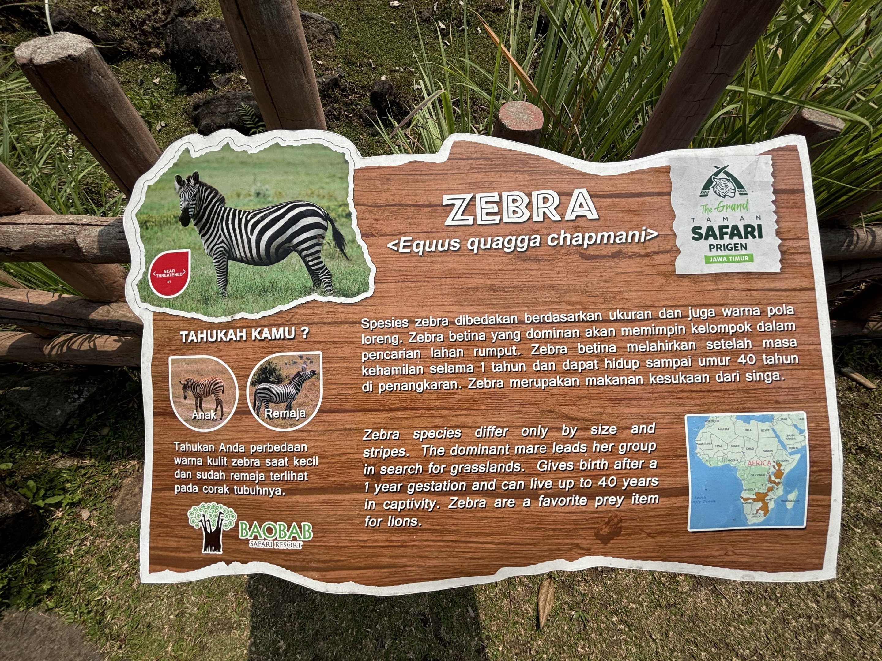 Typical Sign - Baobab Safari Resort
