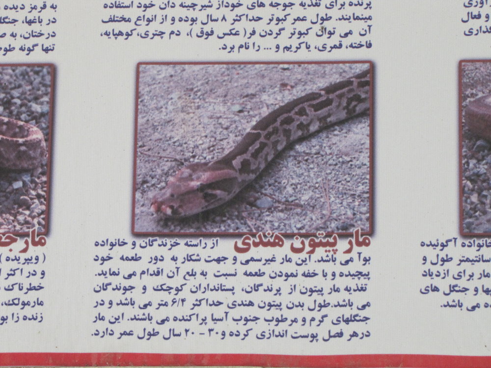 Typical signs of animals introduced(tehran zoo)