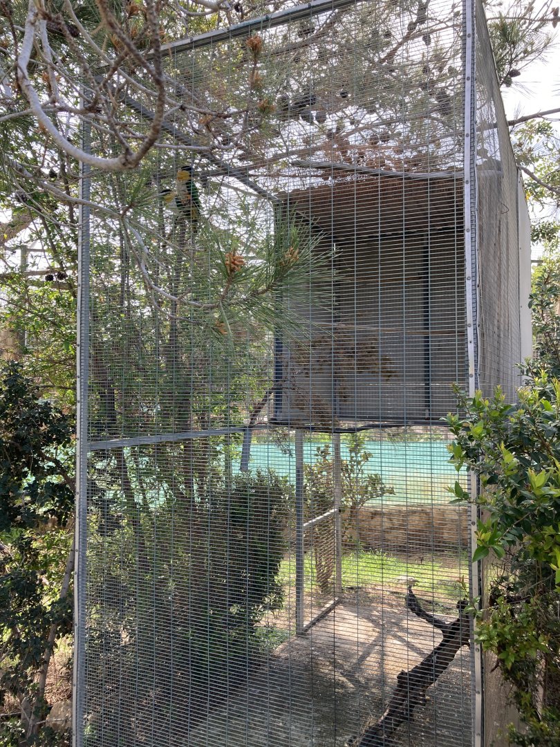 Typical small parrot aviary