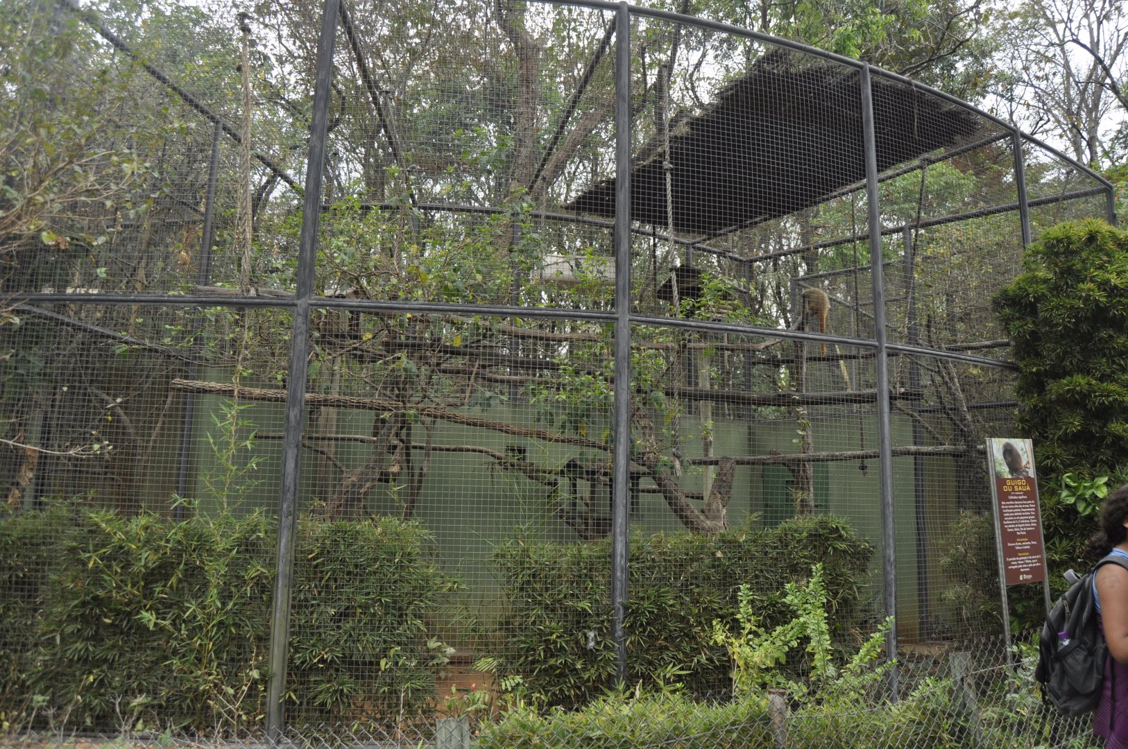 Typical smaller monkey aviary