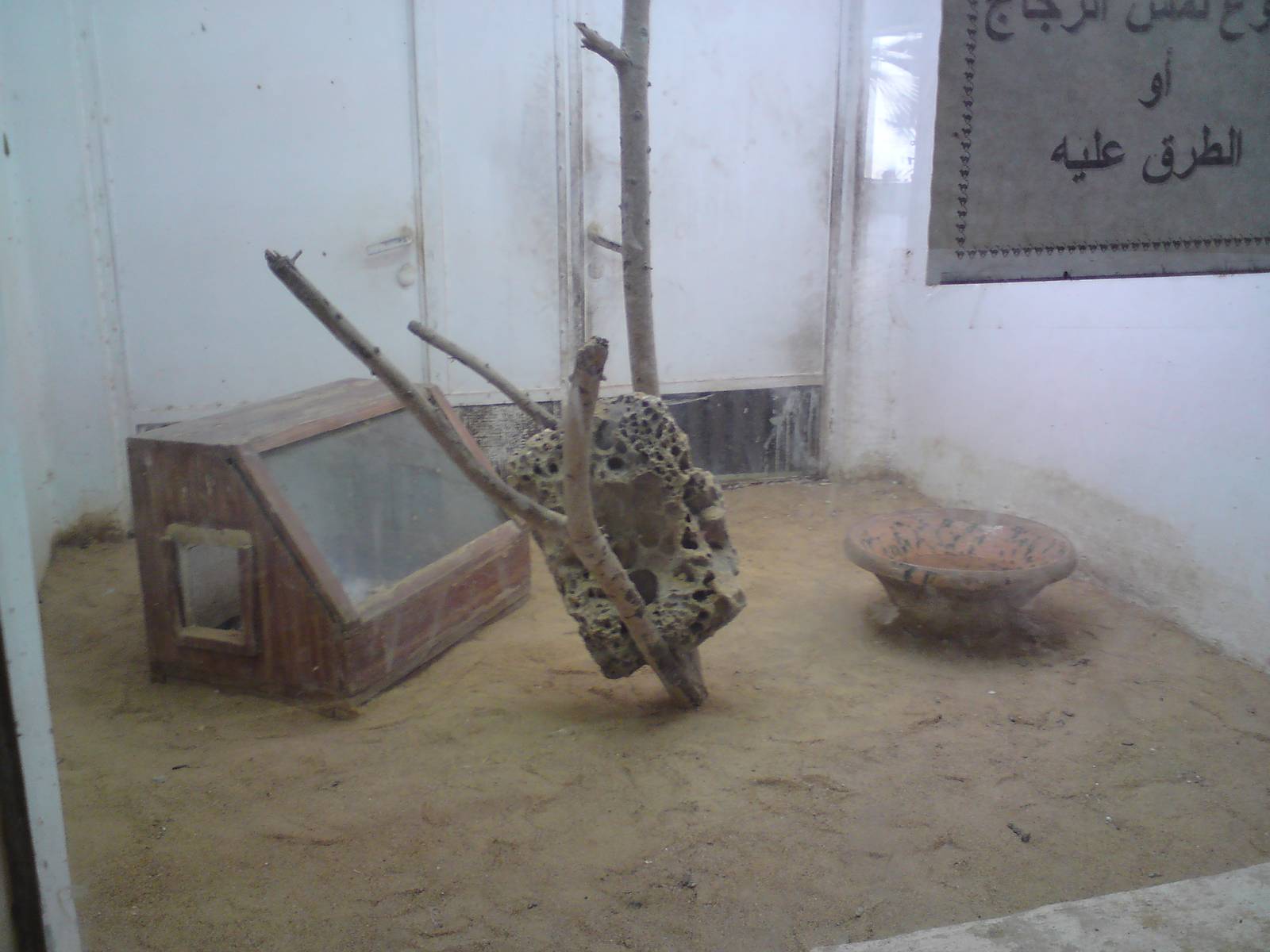 Typical snake enclosure in the reptile house