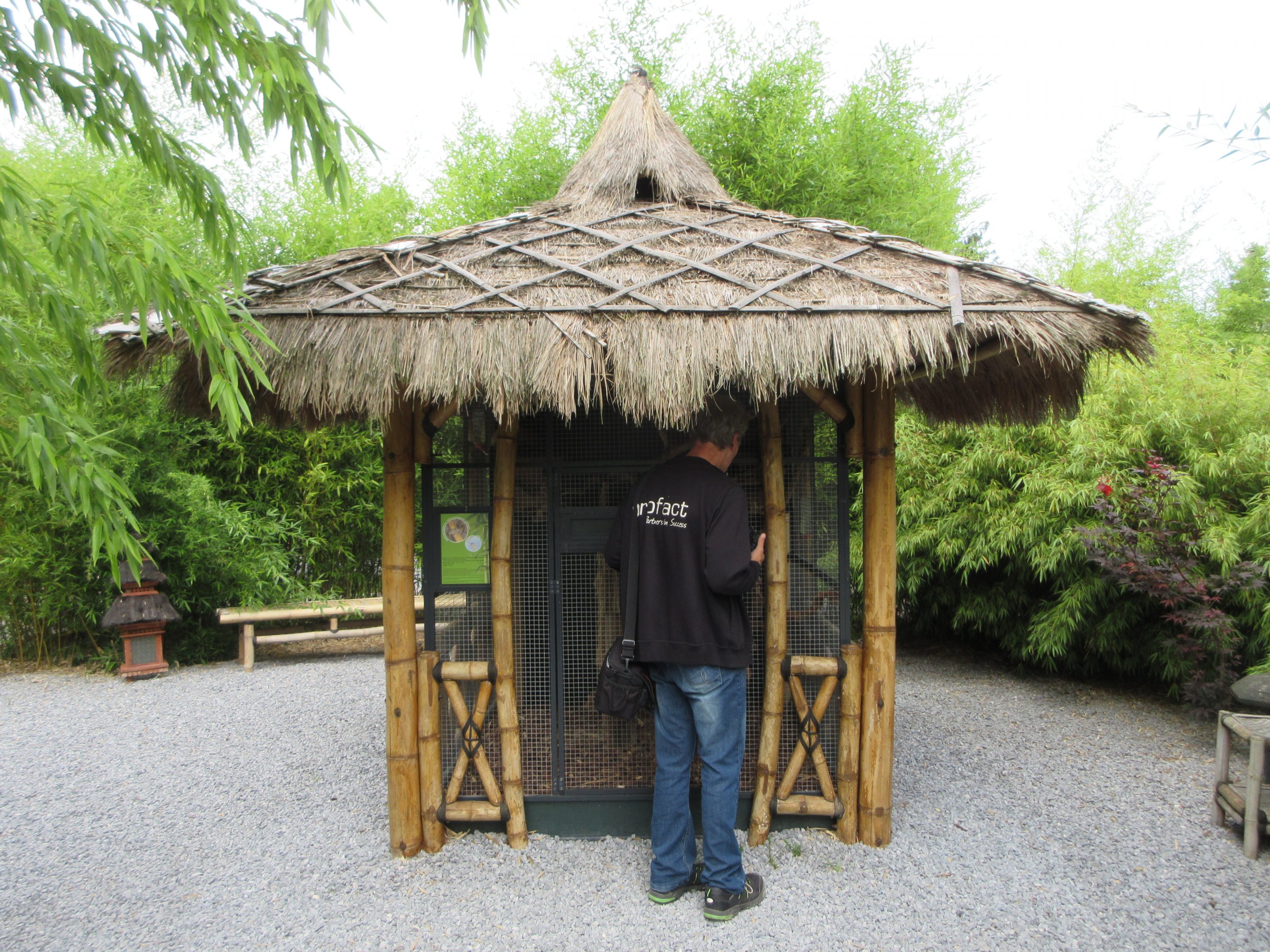 Typical Squirrel Exhibit + 'VC'  (Zoo Nerd)