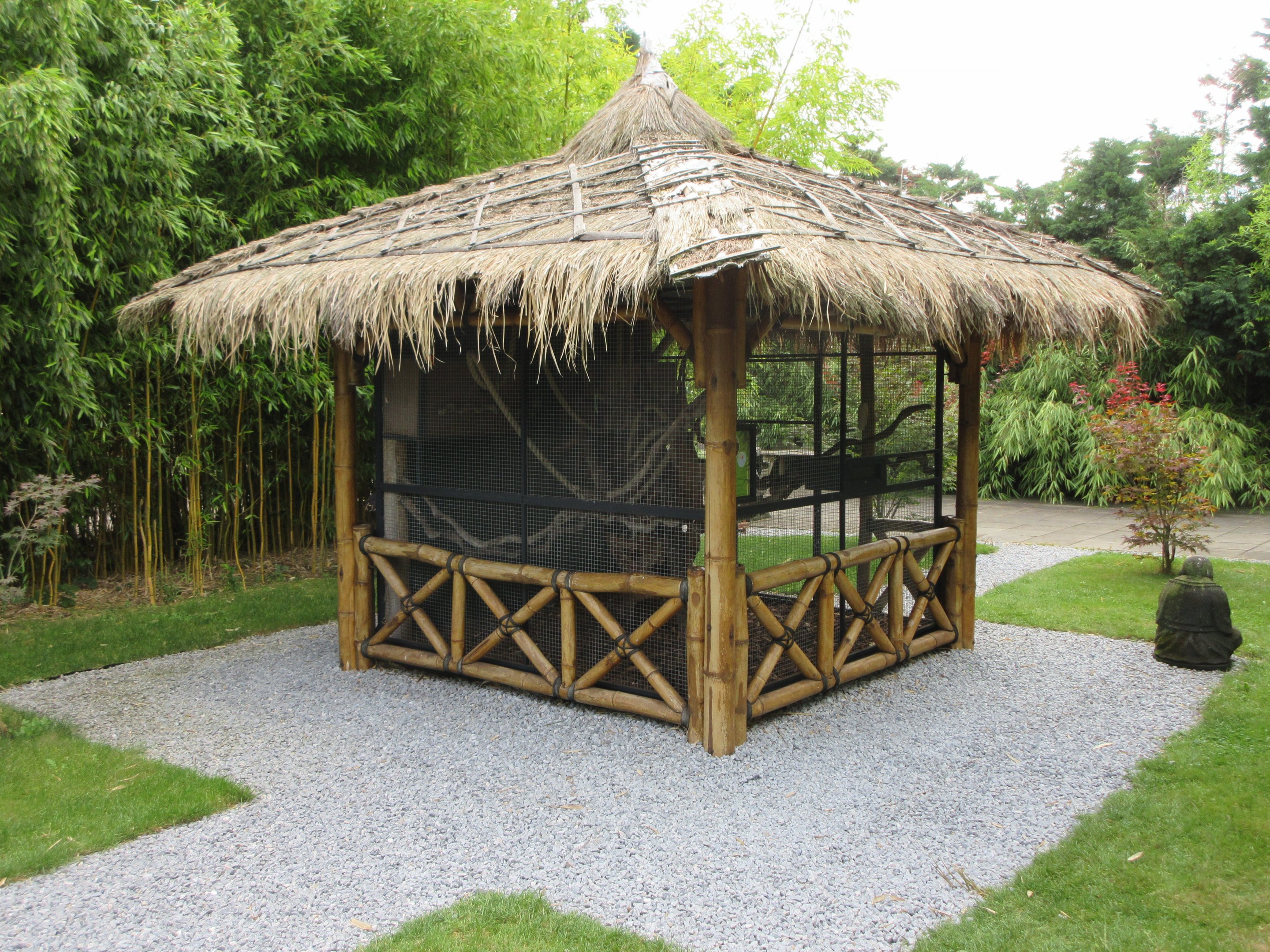 Typical Squirrel Exhibit