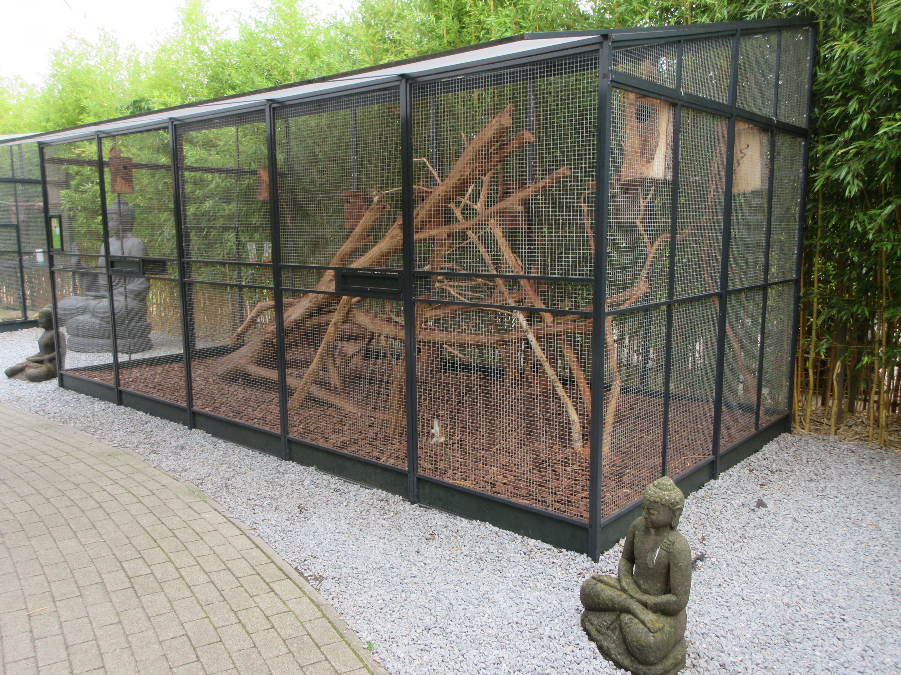 Typical Squirrel Exhibit