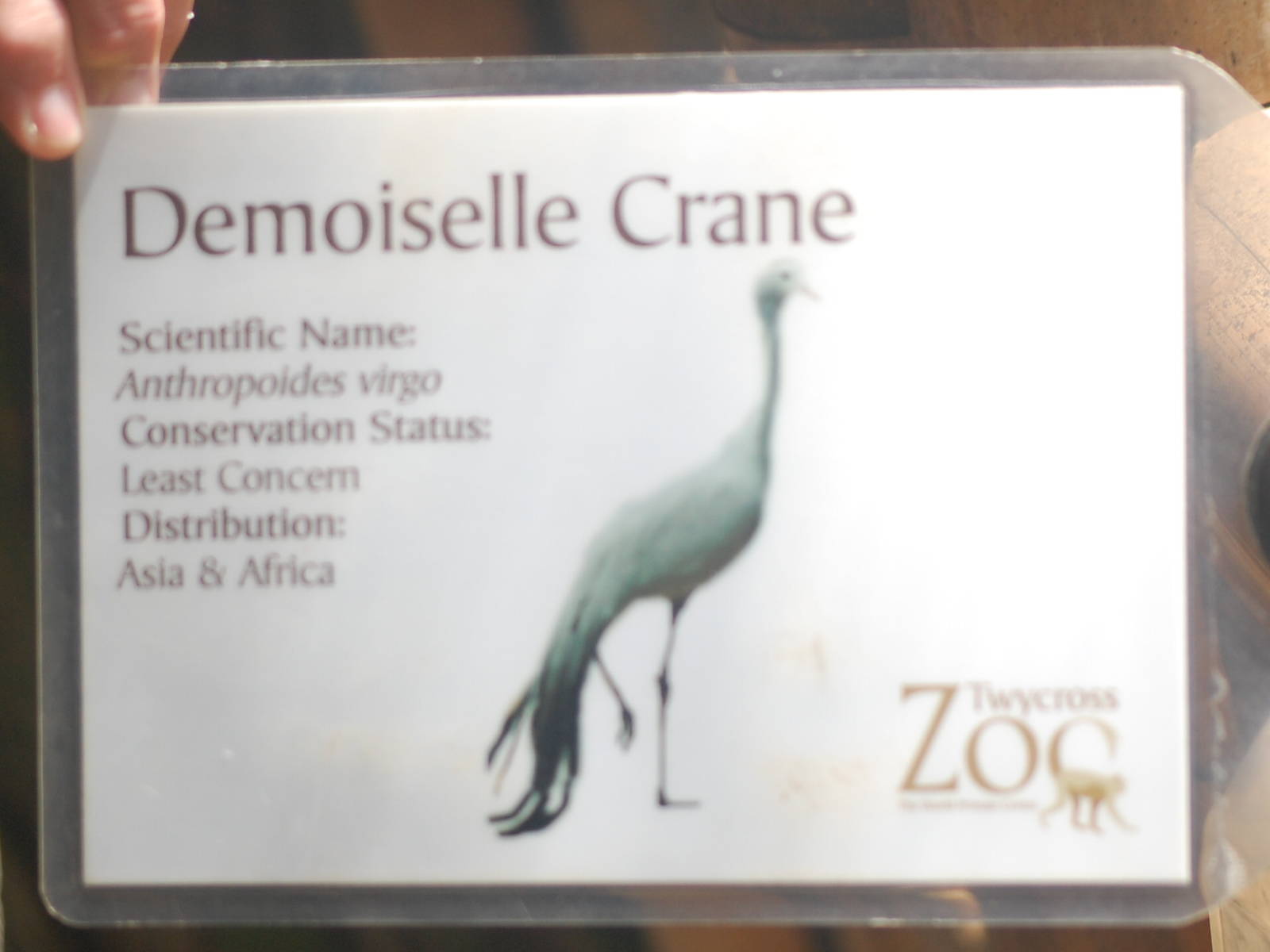 Typical Twycross Signage