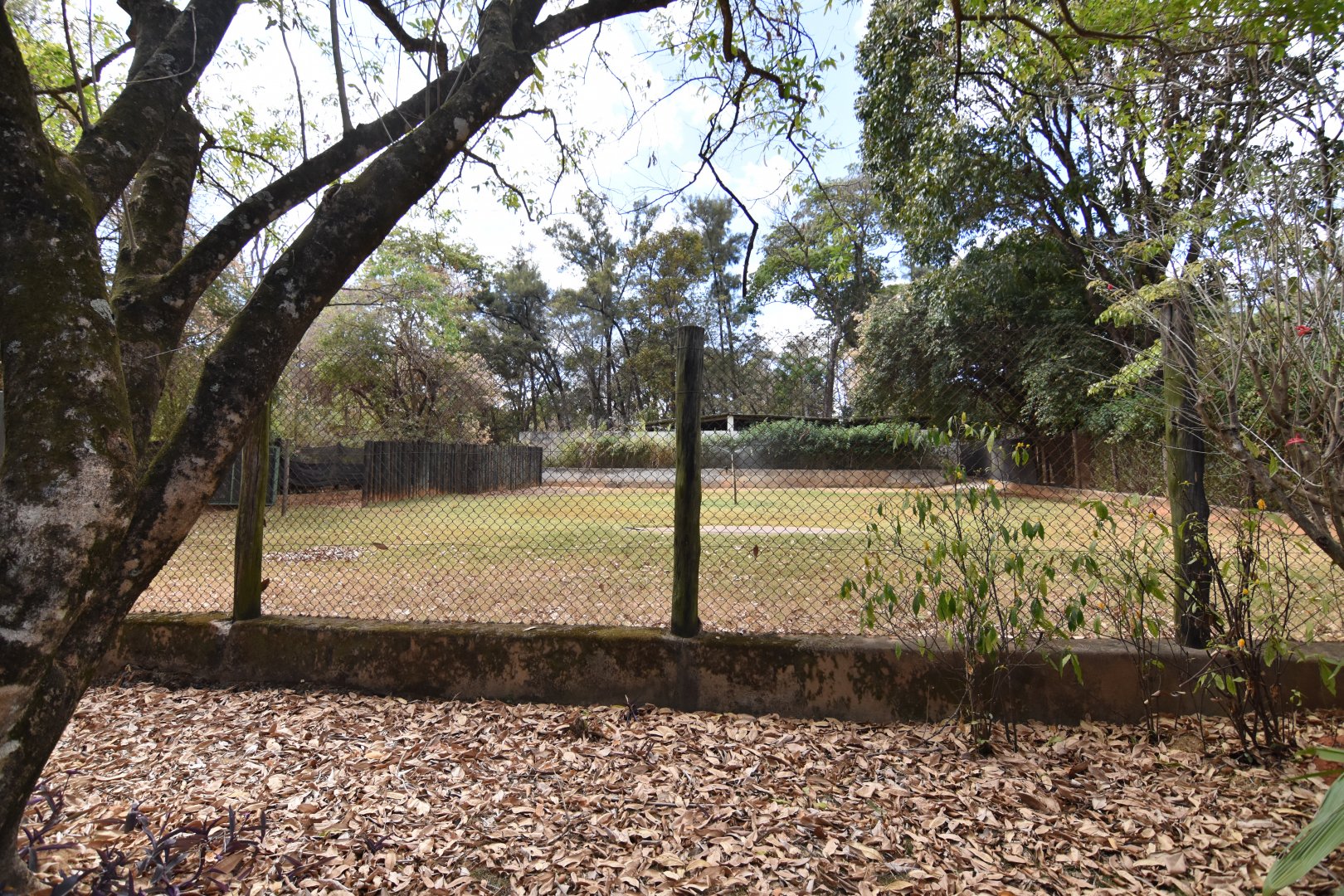 Typical ungulate enclosure