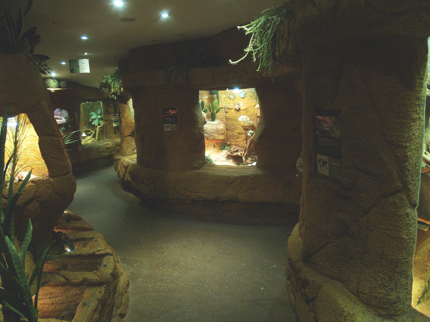 Typical visitor area, 2014-02-16