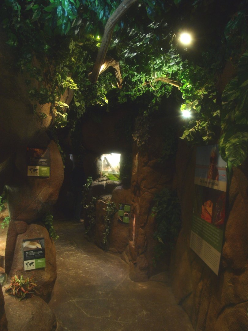 Typical visitor corridor, 2017-02-06