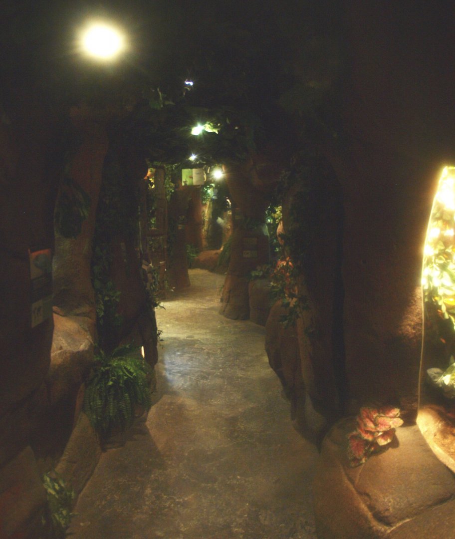 Typical visitor corridor, 2017-02-06