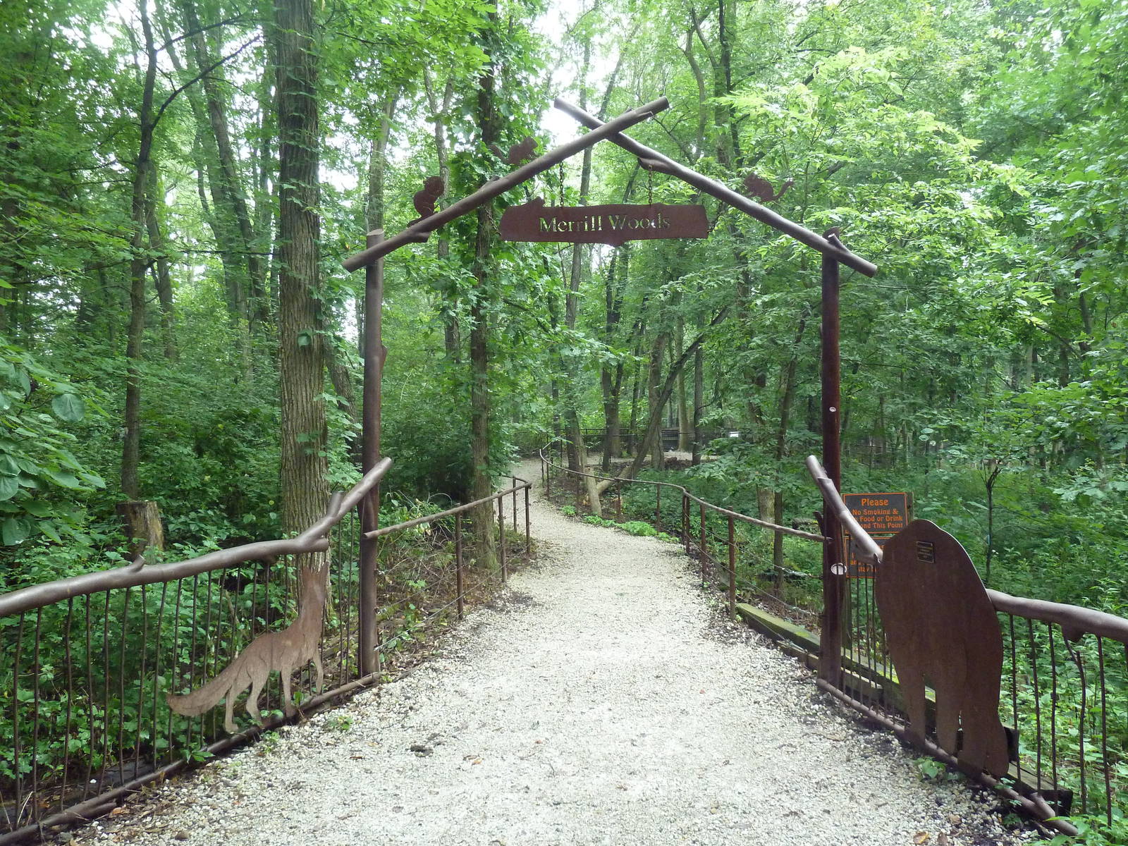 Typical Visitor Path in the Forest