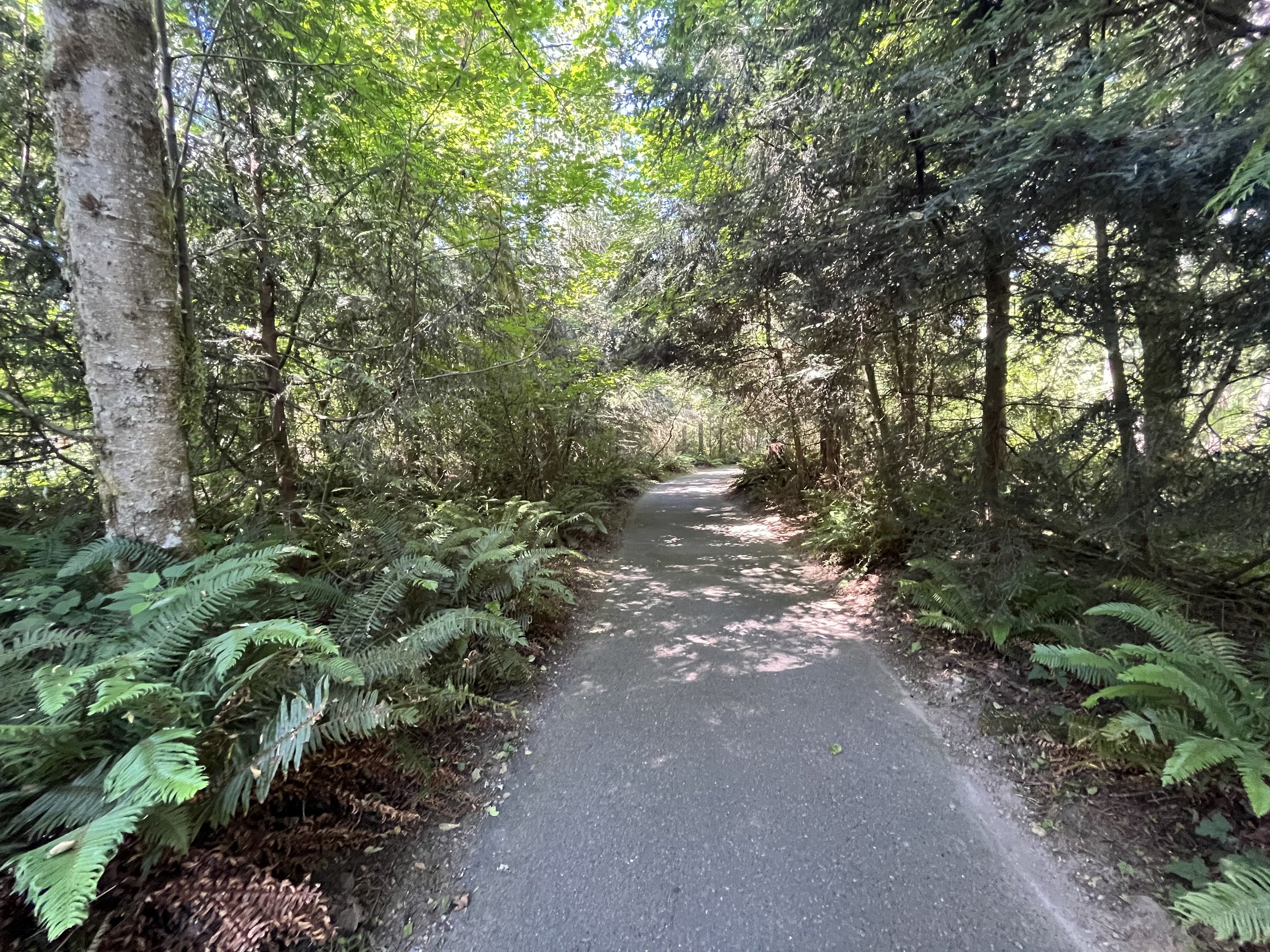 Typical Visitor Path