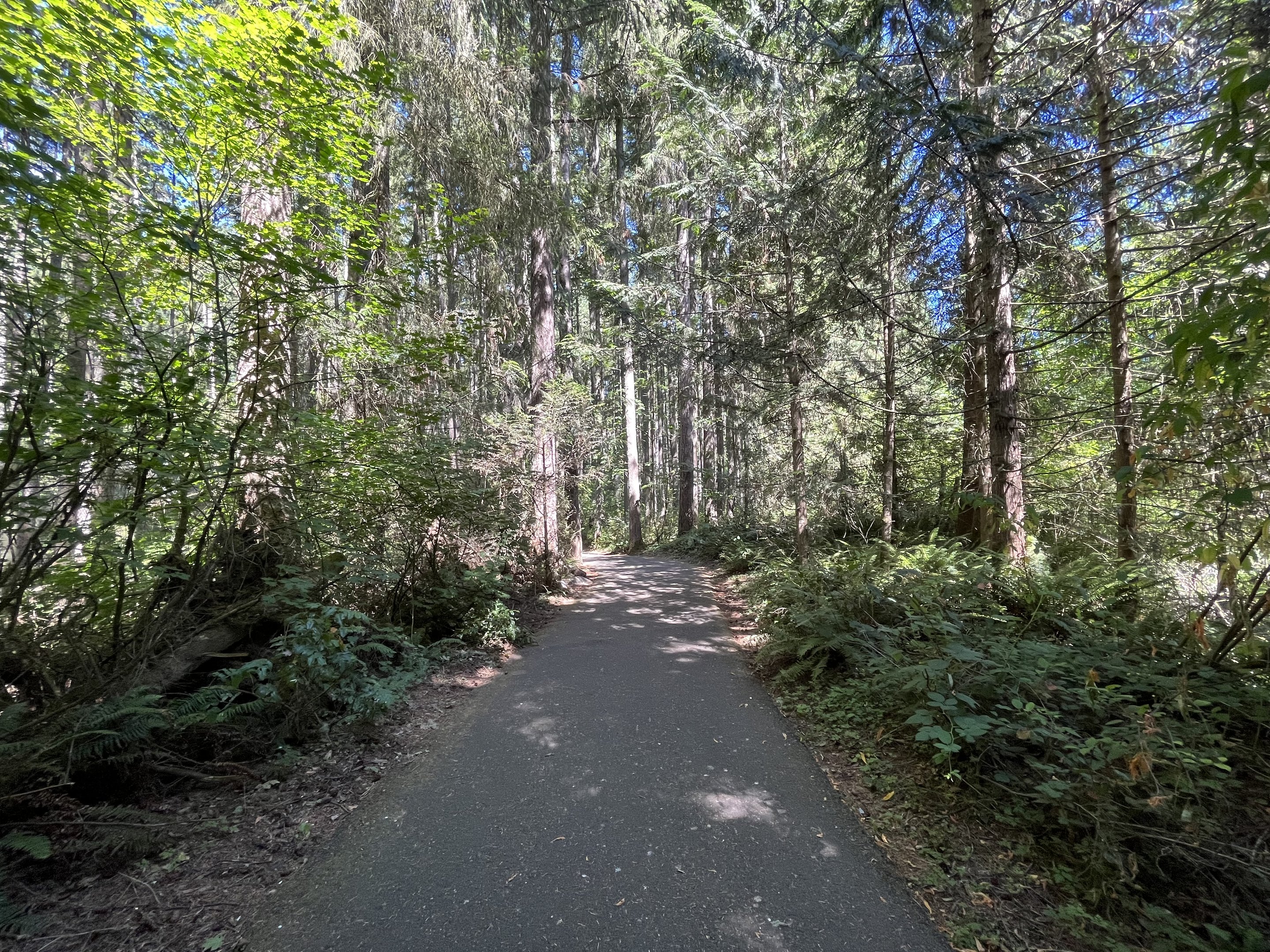 Typical Visitor Path