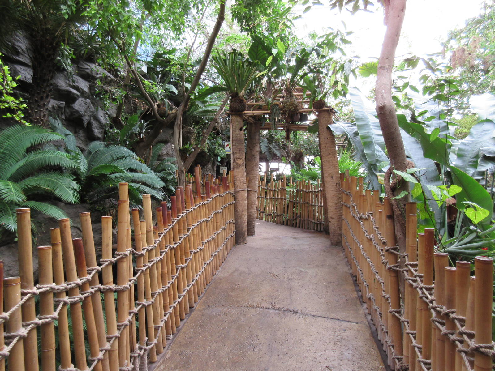 Typical Visitor Pathway