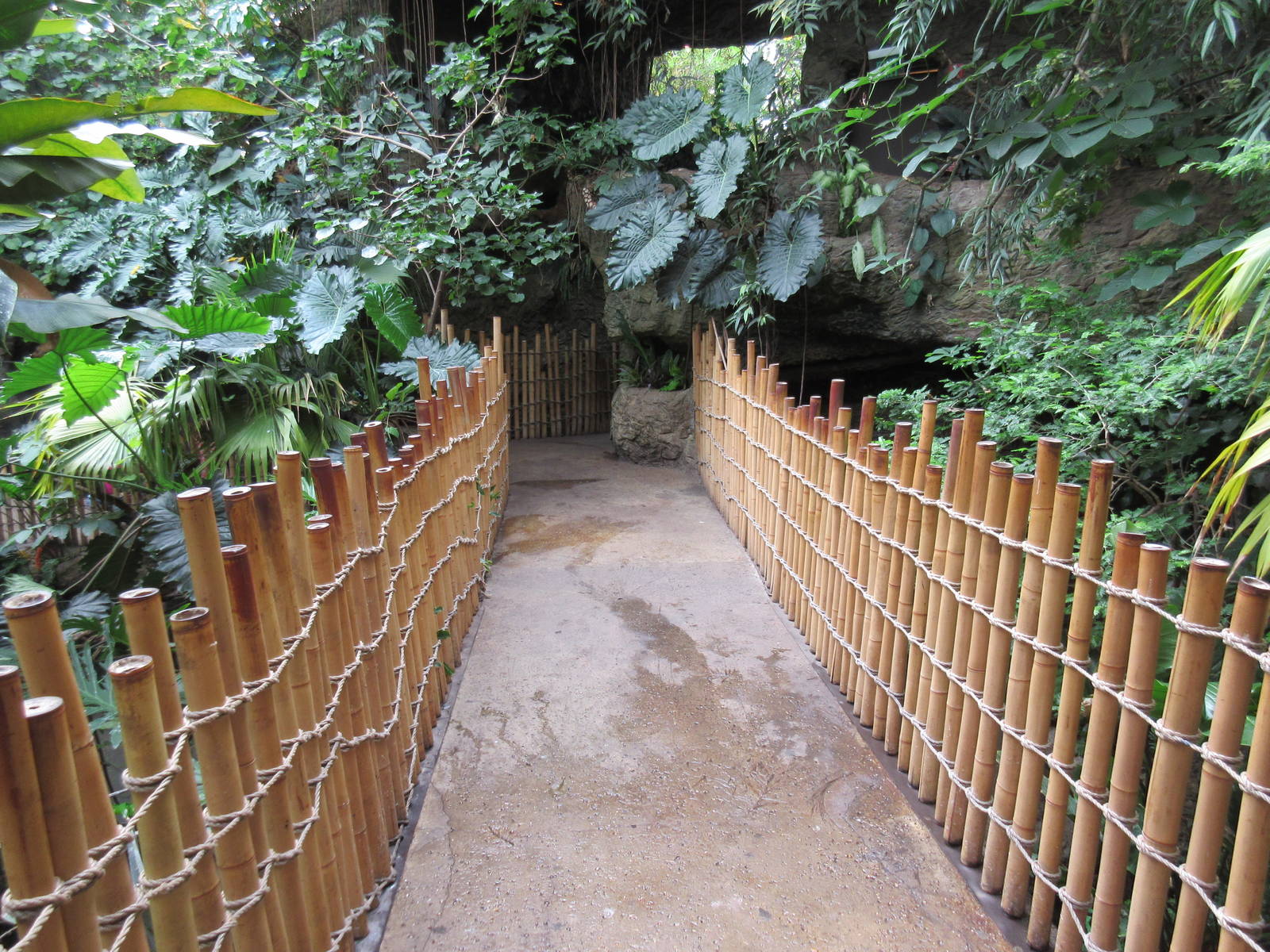 Typical Visitor Pathway