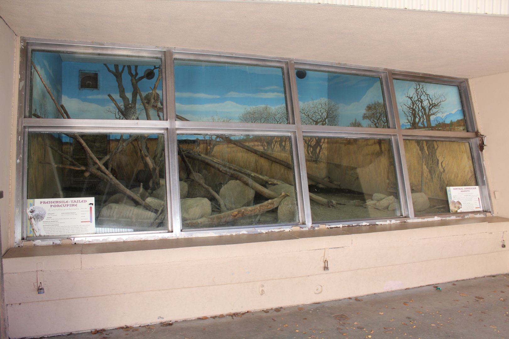 Typical Windows to the Wild Enclosure - Oct 2017