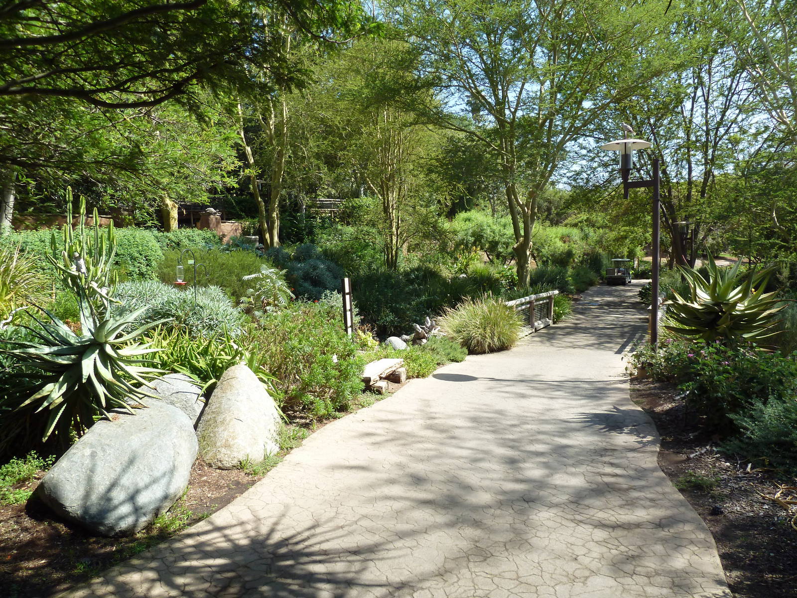 Typically Beautiful Pathway