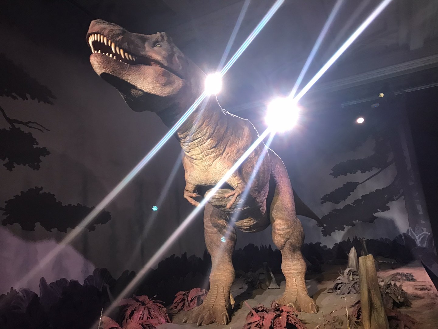 Tyrannosaurus animatronic