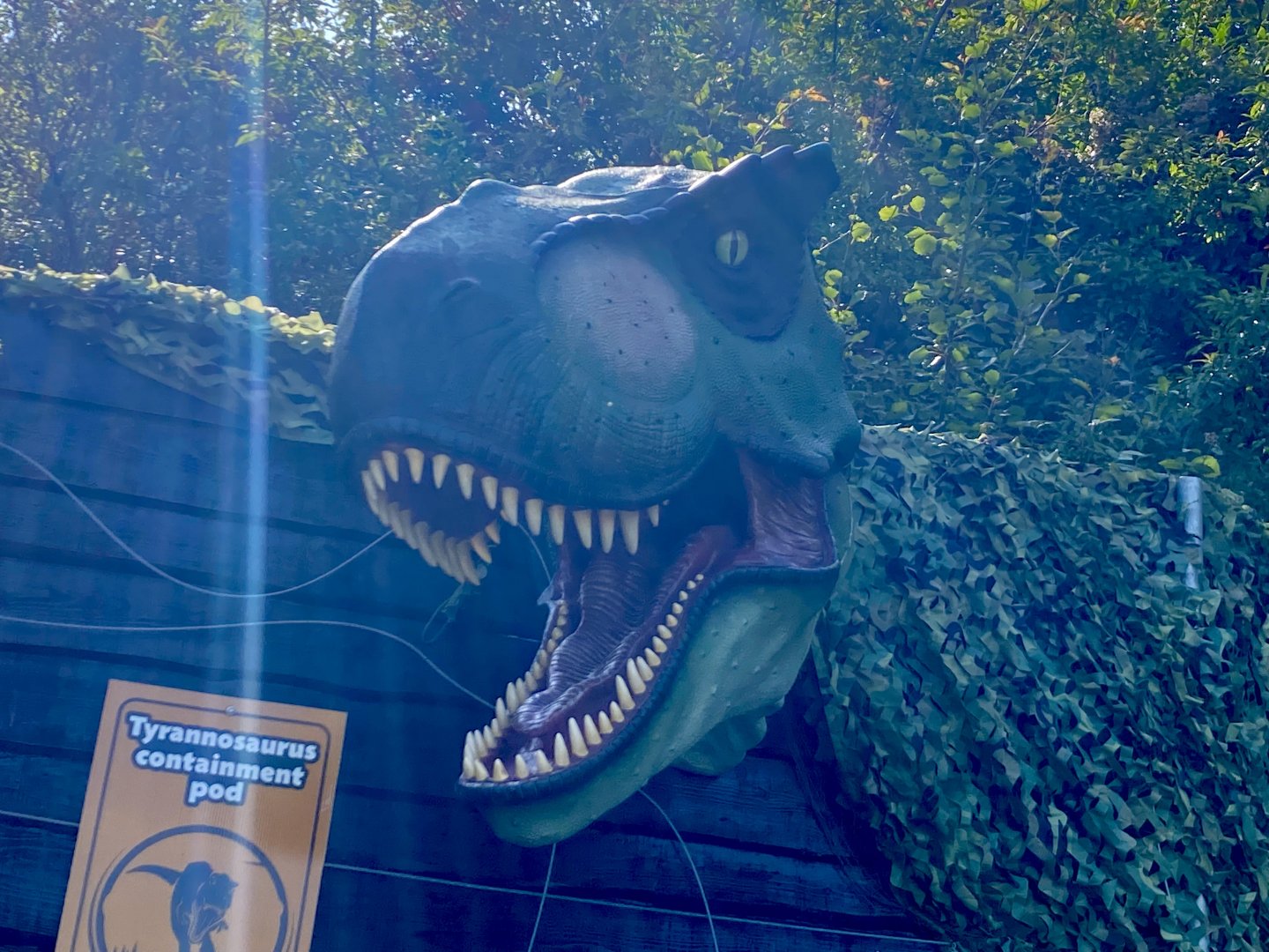 Tyrannosaurus - August 2024