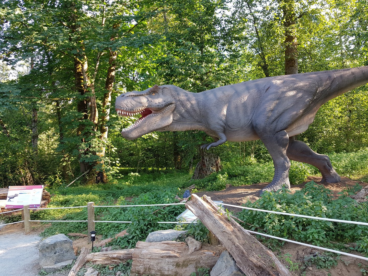 Tyrannosaurus Display