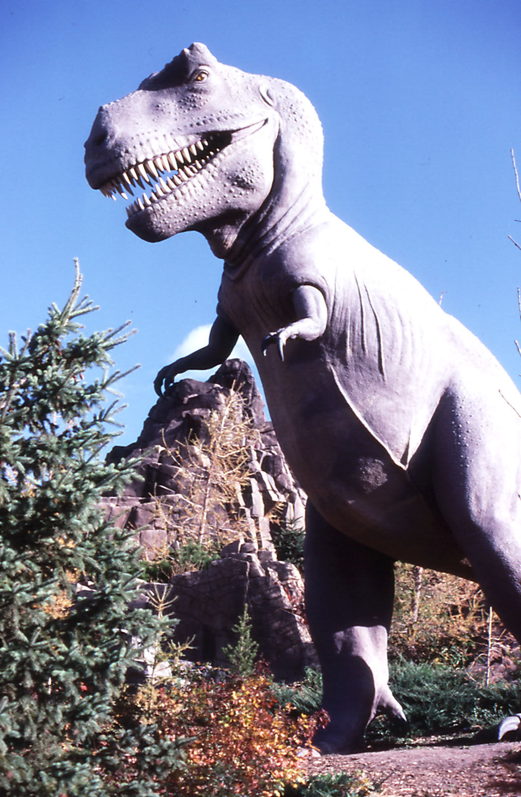 Tyrannosaurus, Prehistoric Park - 1987