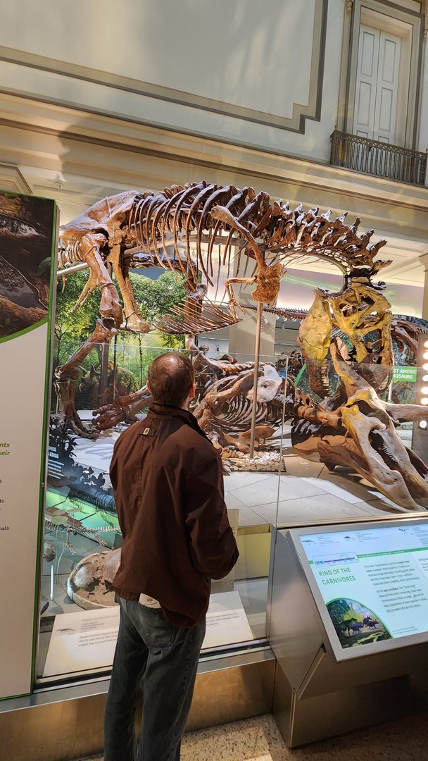 Tyrannosaurus Rex and Triceratops