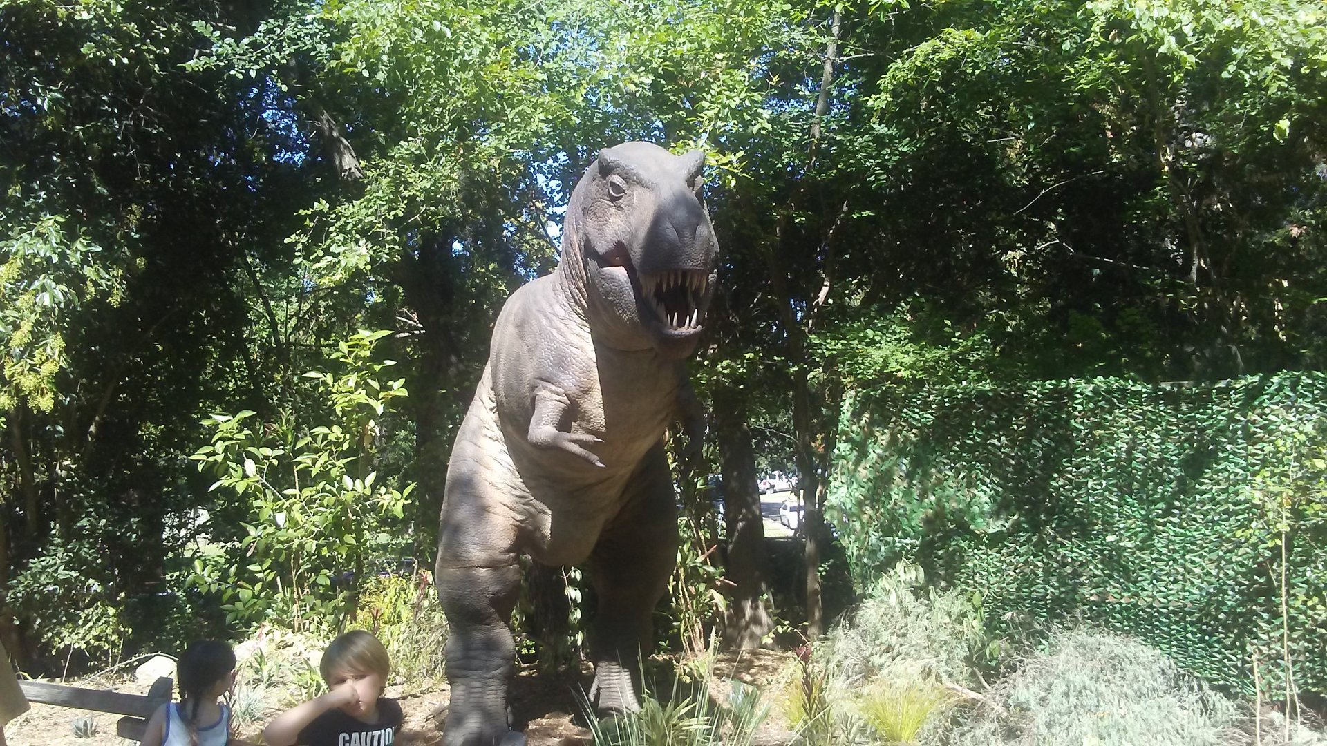 "Tyrannosaurus rex" animatronic