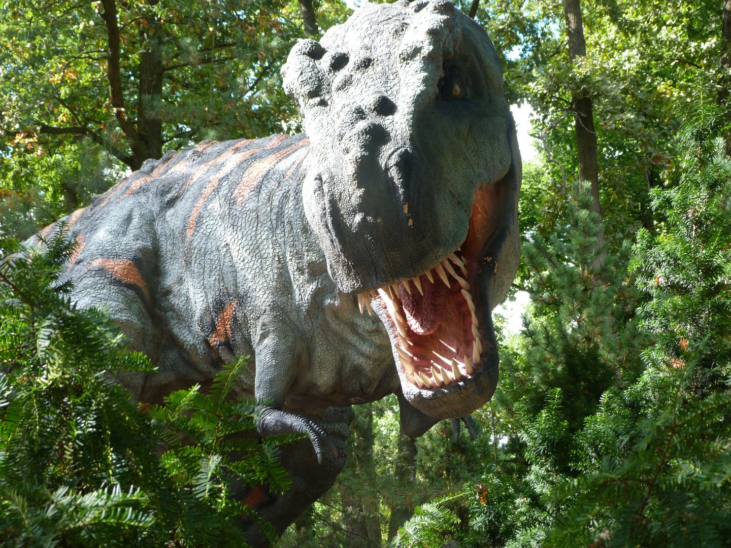 Tyrannosaurus rex figure at the DinoPark -Zoo Plzeň (2025)
