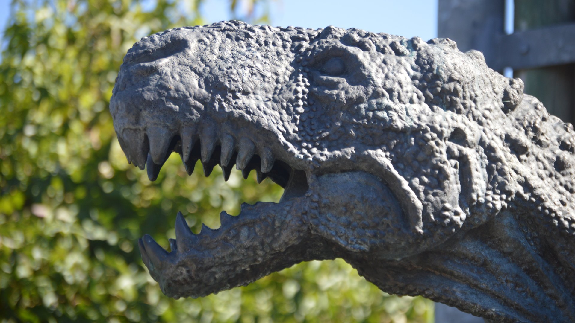 Tyrannosaurus rex (free-roaming)