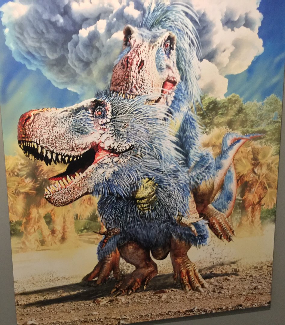 Tyrannosaurus rex (Poster) - T-rex had Feathers