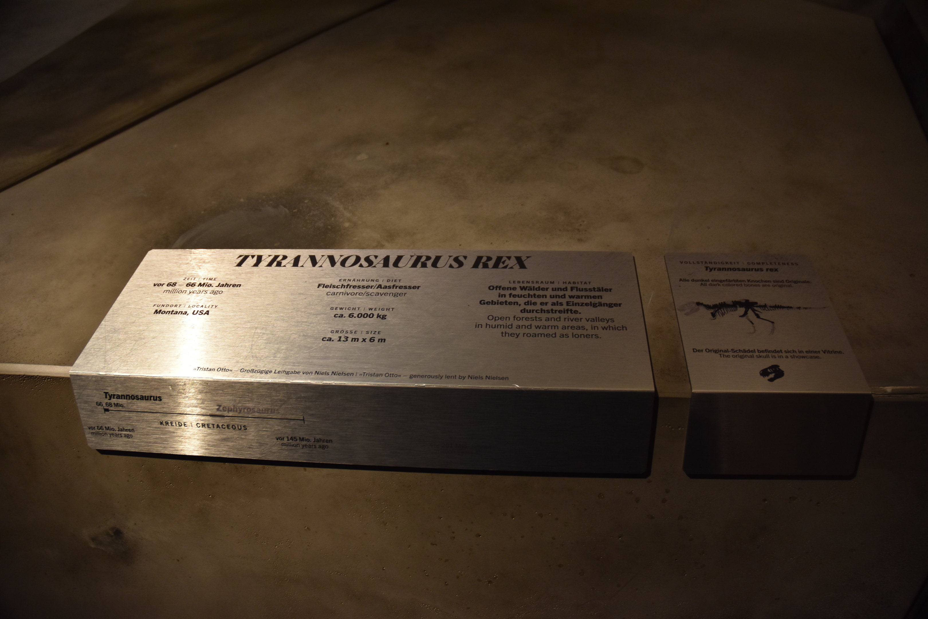 Tyrannosaurus Signage, Museum für Naturkunde, Berlin, 7th June 2023