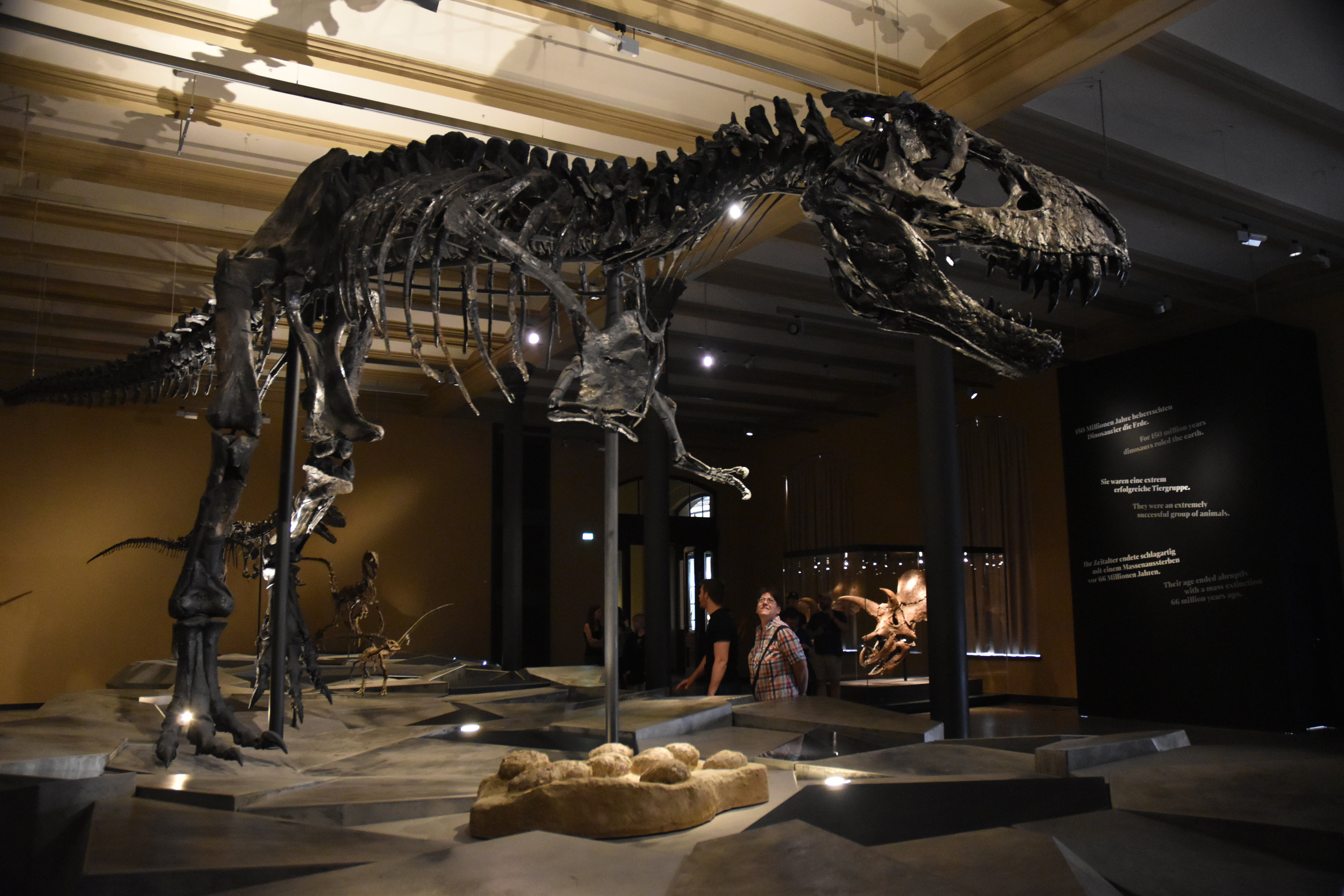 Tyrannosaurus Specimen "Tristan Otto", Museum für Naturkunde, Berlin, 7th June 2023