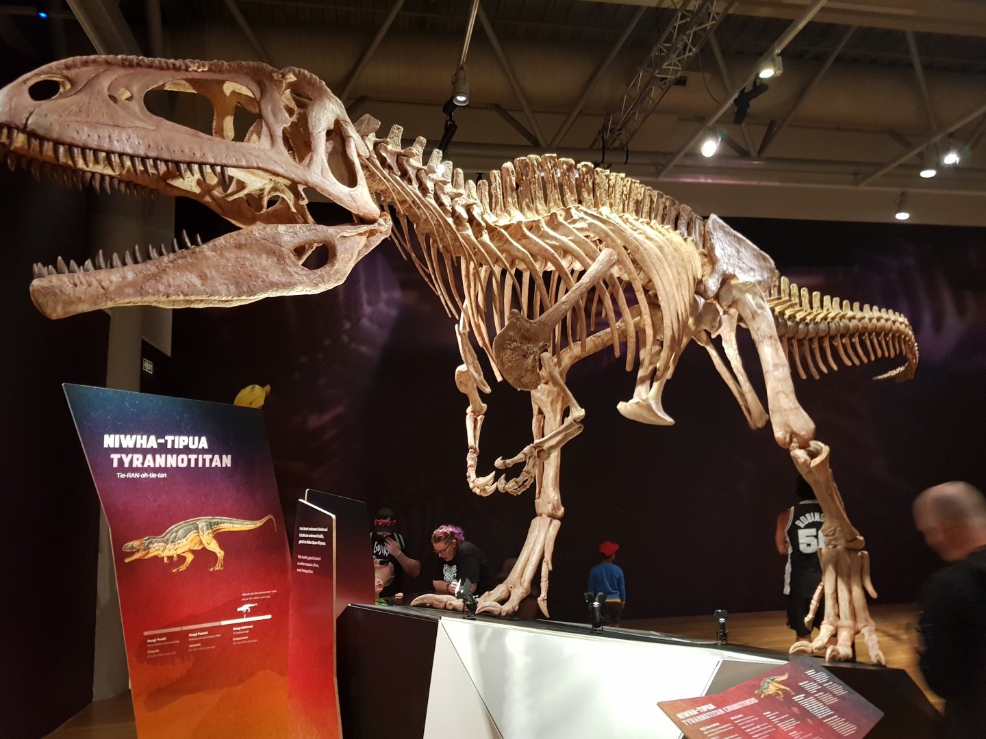 Tyrannotitan chubutensis-Ngā Taniwha o Rūpapa | Dinosaurs of Patagonia, Te Papa