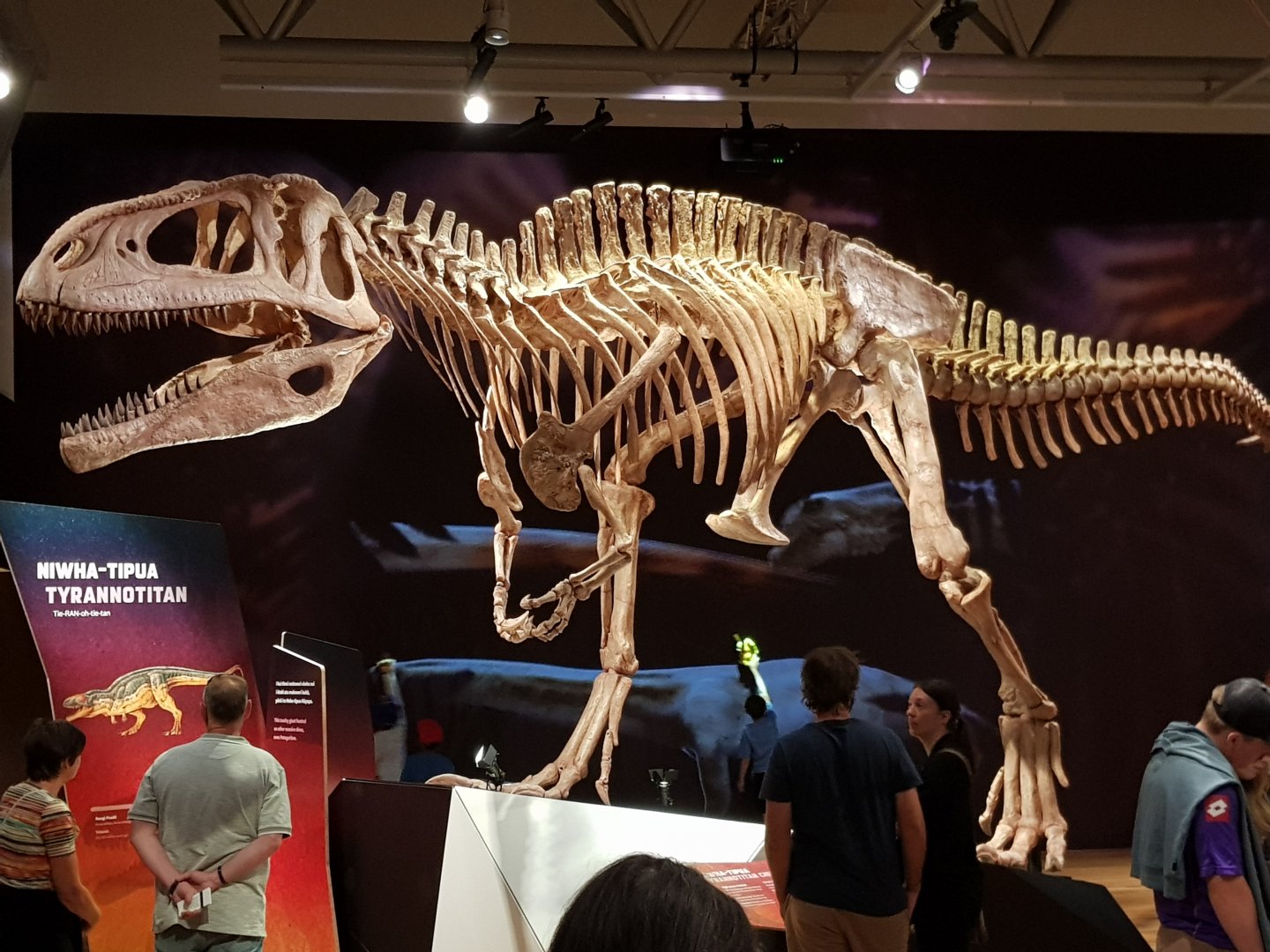Tyrannotitan chubutensis-Ngā Taniwha o Rūpapa | Dinosaurs of Patagonia, Te Papa