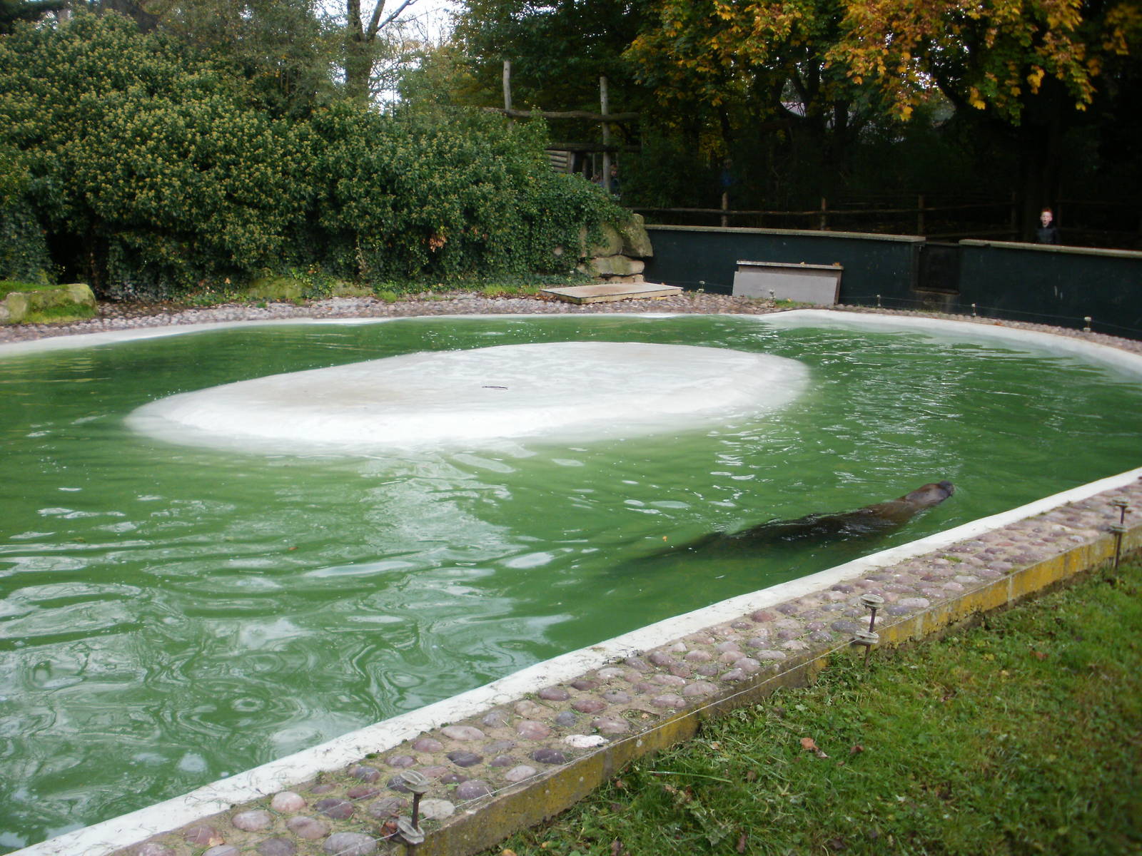 Tywcross - 28.10.2010