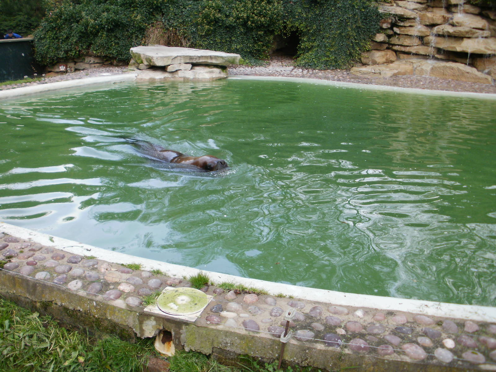 Tywcross - 28.10.2010