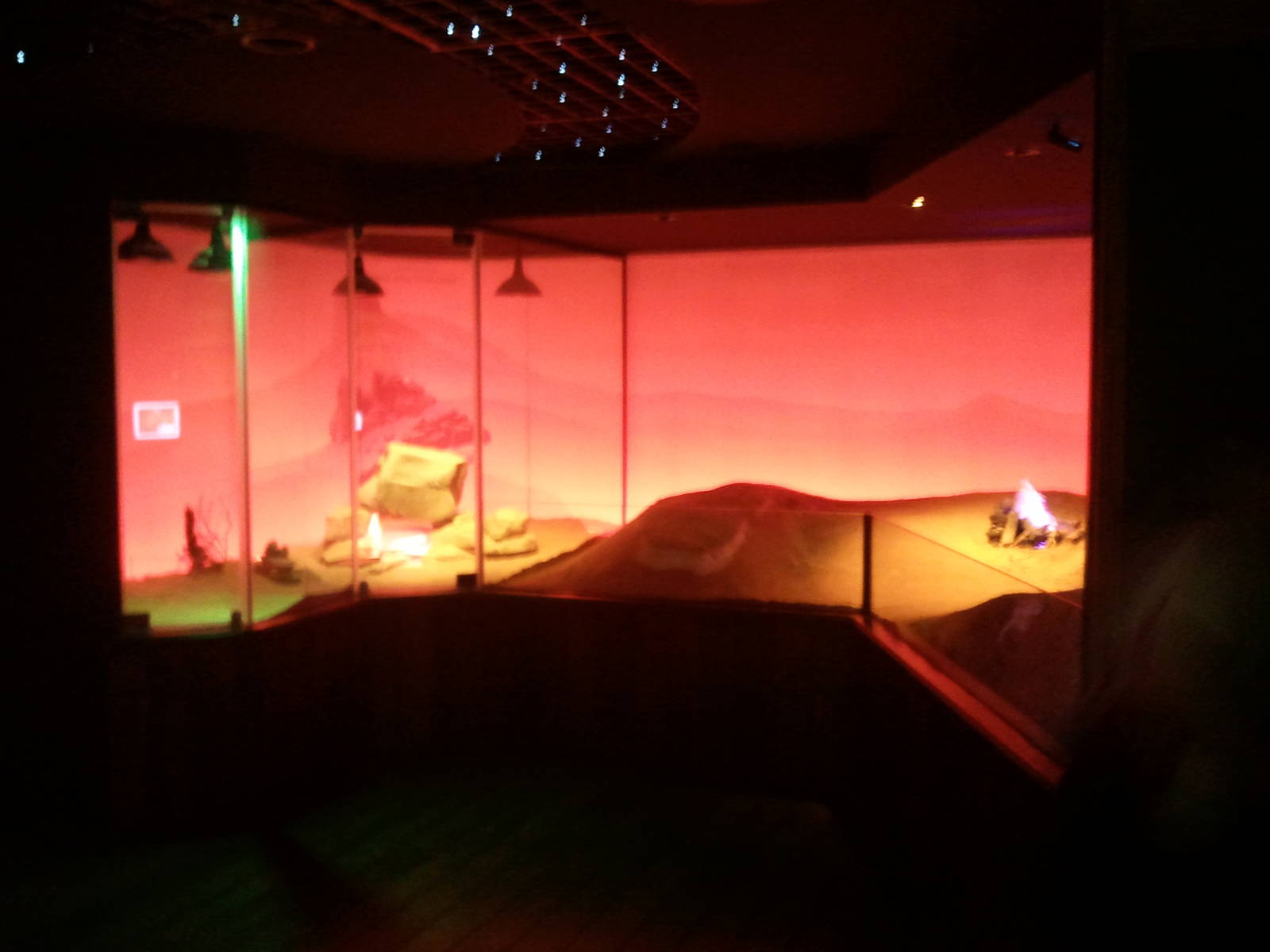 UAE Creatures of the Night 01