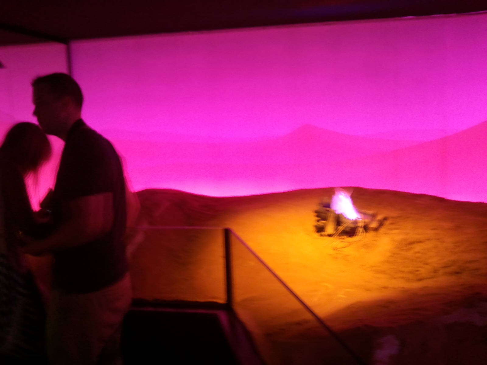 UAE Creatures of the Night 03