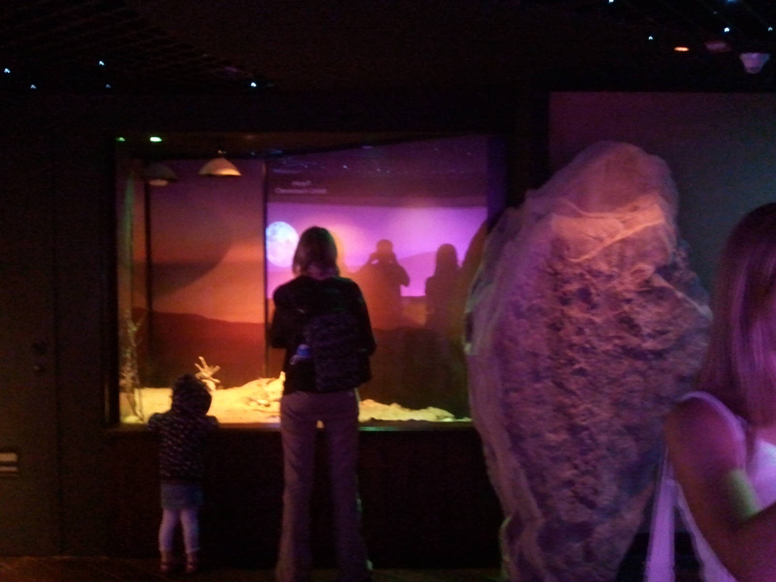 UAE Creatures of the Night