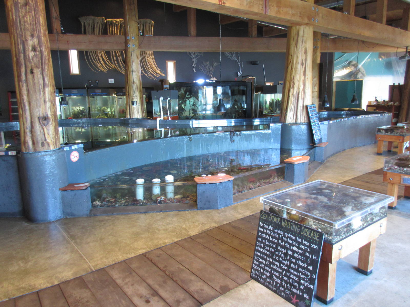 Ucluelet Aquarium - One Large Room