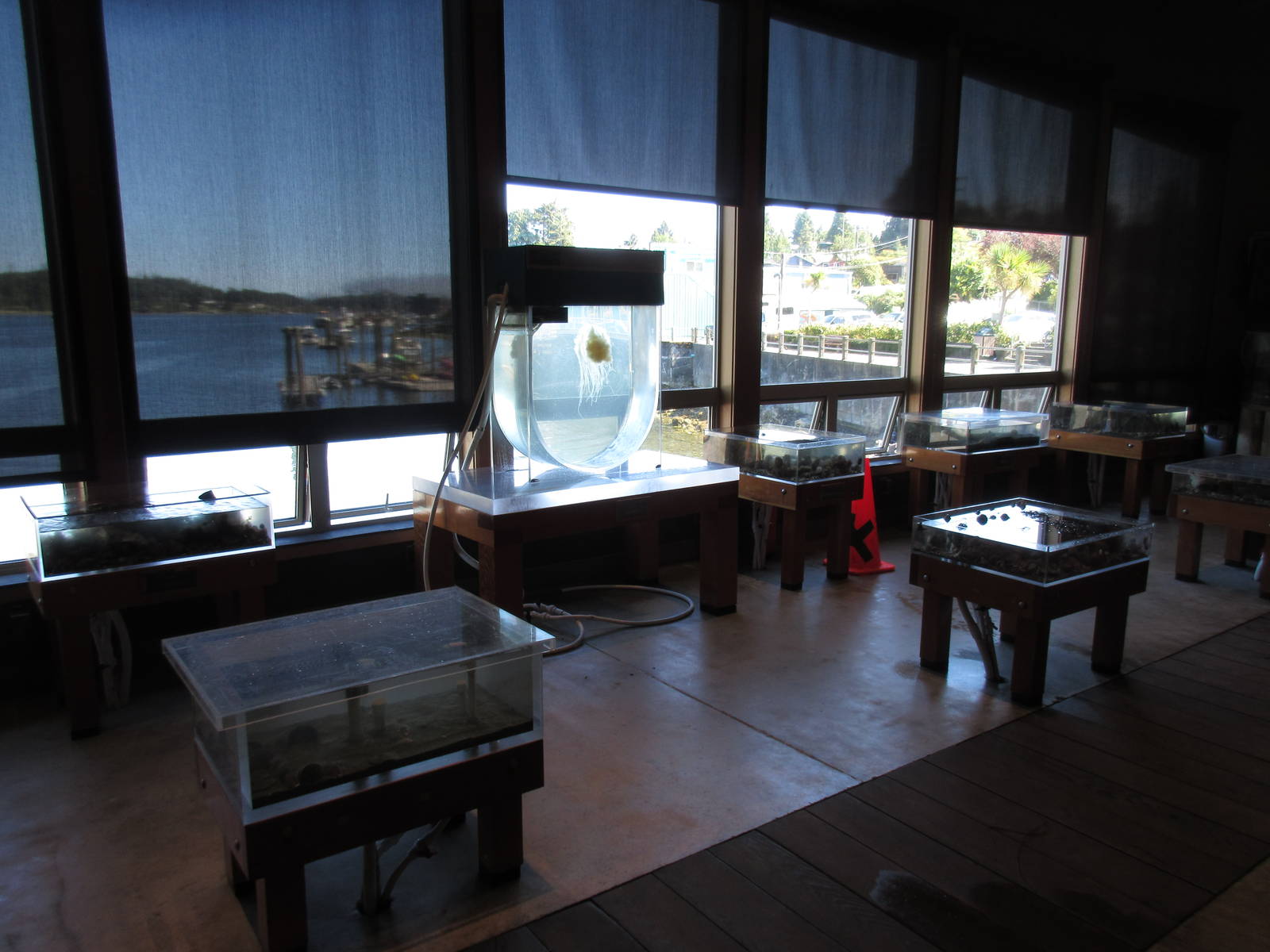 Ucluelet Aquarium - Touch Tanks